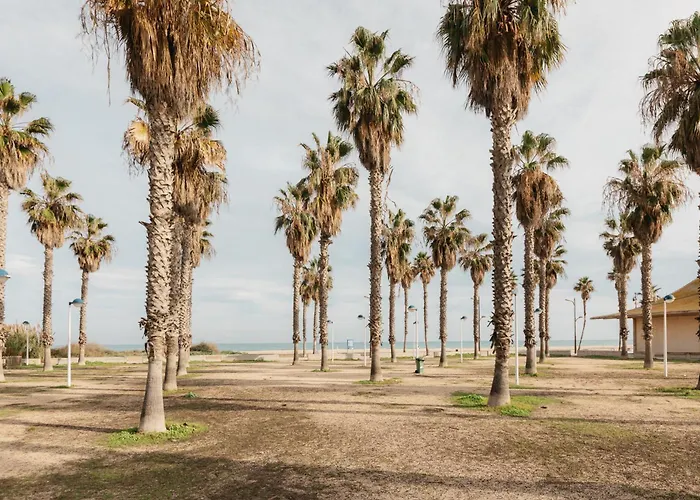 Resort Beach Valencia * バレンシア